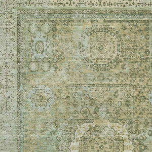 HomeRoots 9' X 12' Elegant Sage and Gray Oriental Area Rug - Washable, UV Protected, Stain-Resistant Design 699793