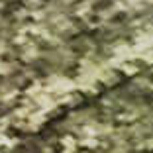 HomeRoots 5' X 8' Olive Green & Beige Abstract Area Rug - Washable, UV Protected, Pet-Friendly & Stylish Design 699808