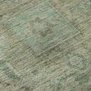 HomeRoots 9' X 12' Elegant Sage & Beige Oriental Area Rug – Washable, UV-Protected, Durable for Busy Homes 699878