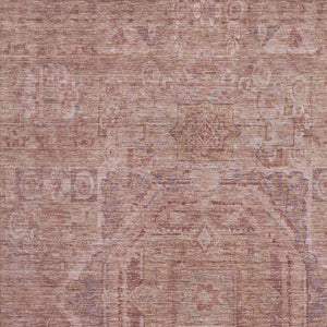 HomeRoots 8' X 10' Salmon and Beige Oriental Area Rug - Washable, UV Protected, Stain Resistant for Homes 699883