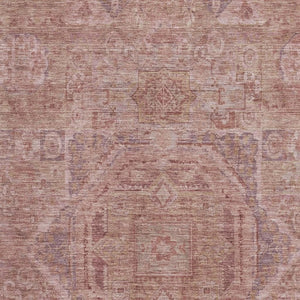 HomeRoots 9' X 12' Salmon & Beige Oriental Washable Area Rug - UV Protected, Stain Resistant & Elegant Design 699884