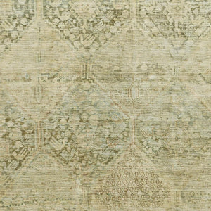 HomeRoots 10' X 14' Geometric Area Rug in Fern & Olive Green - Durable, Washable & UV Protected for Homes 699945
