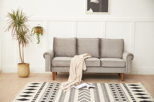 English Elm SOFA, Grey Velvet Microfiber 3-Seater with High-Density Foam, Solid Wood Frame and Plush Comfort B205P248191