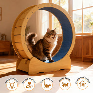 English Elm Cat 42" Exercise Wheel for Indoor Cats - Solid Acacia Wood, Quiet TPE Rollers, Anti-Pinch Design & Lockable Safety W2500P293097