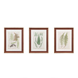 Martha Stewart Lady Fern Collection Transitional Botanical Illustration 3-piece Framed Glass and Single Matted Wall Art Set MT95G-0003 Green