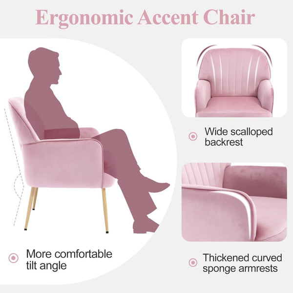 English Elm Velvet Barrel Accent Chair Tufted Shell Back with Metal Legs for Living Room Pink W5722P462513