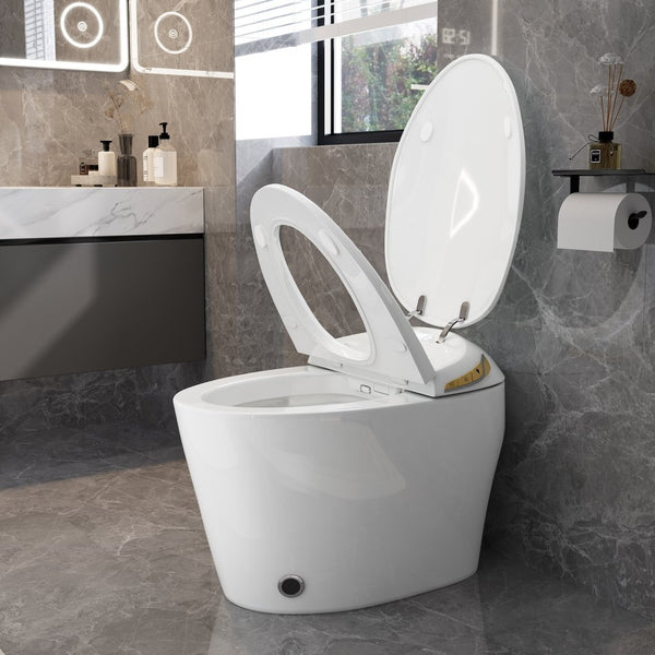 English Elm Unique Smart One Piece Toilet Bidet Heated Seat Auto Flush Warm Air Dryer Spa W3133P384811