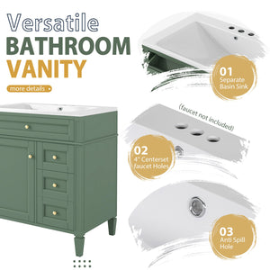 English Elm 30'' Bathroom Vanity Set With Mirror, Modern Freestanding Storage, 2 Drawers & Tip-Out Organizer SW000127AAF-3