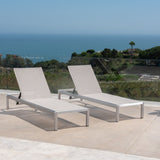 Christopher Knight Home® - Noble House - Cape Coral Gray Outdoor Mesh Chaise Lounge (Set Of Two)