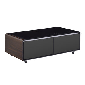 English Elm Modern Smart Coffee Table with Built-in Dual Fridge, Bluetooth Speakers, 15W Wireless Charge, RGB Lights Brown+Black W1172P320210