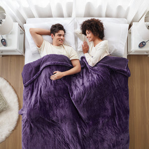 JLA Home Beautyrest - Blanket Beautyrest Heated Reversible Plush Berber with 20 Heat Settings, Auto Shut-Off, OEKO-TEX Safe Purple BR54-1943
