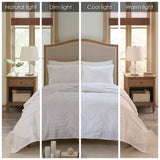 Madison Park Bahari Coastal 3 Piece Tufted Cotton Chenille Palm Duvet Cover Set MP12-6224 Off-White