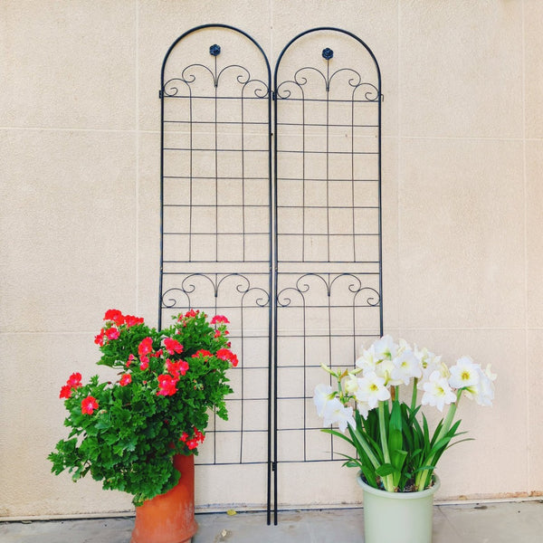 English Elm 4 Pack Tall Galvanized Steel Garden Trellises Powder Coated Black for Climbing Vines W158681065