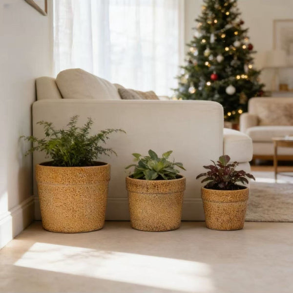 English Elm Handmade Ceramic Planter Trio Artisan Speckled Earth Tones for Indoor Plants Shelves W3273P321469