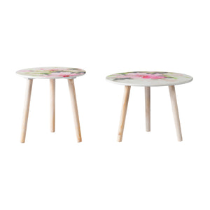 English Elm S/2 Side Tables with Watercolor Floral Tops, Nature-Inspired Accent Nesting Tables for Living Room Pink+White W2078P180405