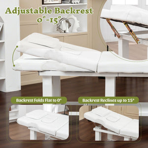 English Elm Spa Salon Massage Table Steel Frame Pu Leather Adjustable Backrest Bottom Shelf Storage W1422P382936