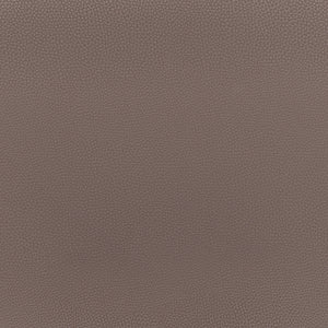 Desi Counter Stool - Set of 2 Brown & Walnut 109732 Zuo Modern