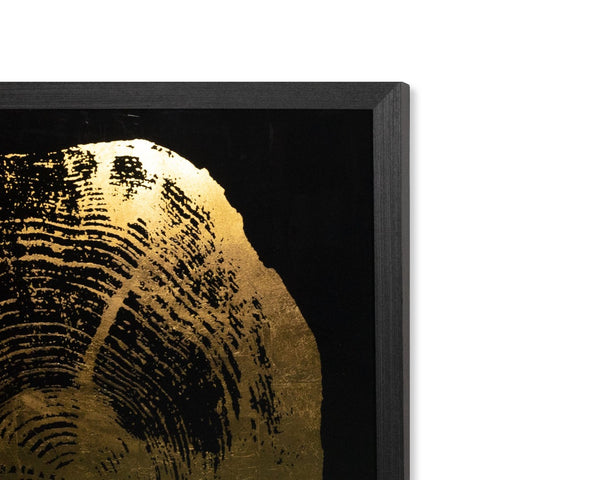 Sunpan TIME LINES Set of 4 Framed Art Panels - 30" Charcoal Frames with Gold Leaf Tree Ring Designs A0325