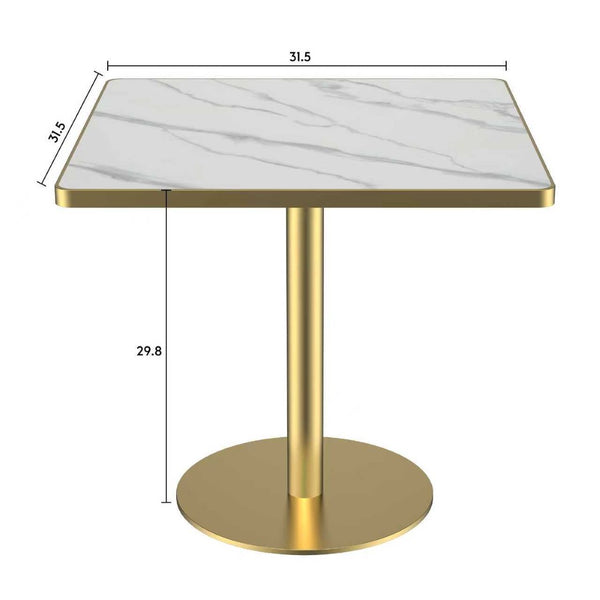 English Elm Square Modern Dining Table - 31.5" Faux Marble Bistro Table With Sturdy Metal Frame & Easy Setup W3316P375691-GIGA