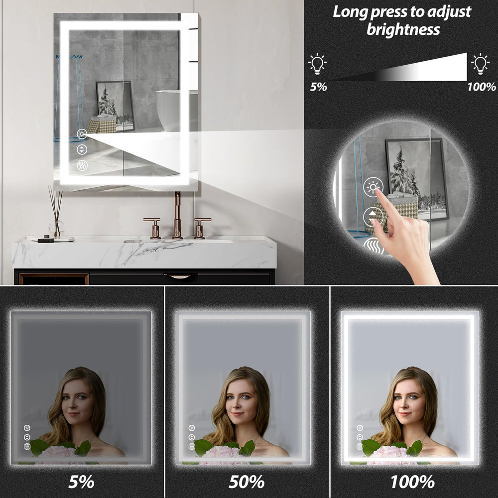 English Elm LED Bathroom Mirror 28x20 in Front & Backlit with Anti-Fog, 3-Color Dimmable Memory, Tempered Glass T3210P374647