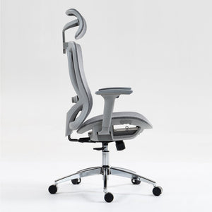 English Elm High Back Breathable Mesh Office Chair with Reclining Support and 3d Adjustable Arms W3326P330177