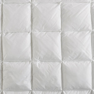 JLA Home Madison Park - Overfilled Plush Pillow Protector with 3D Puff Stitching, Zipper Closure, OEKO-TEX Soft Loft 36 L x 20 W x 0.13H MP21-8301