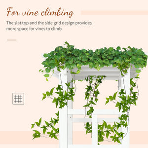 English Elm Outsunny Carbonized Fir Wood Garden Arbor Arch with Lattice Roof for Climbing Vines W2225P174423