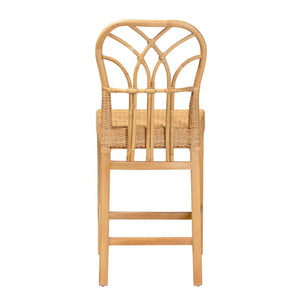 English Elm Modern Rattan Dining Chair Set of Two with Woven Back and Black Iron Base B2750P420435