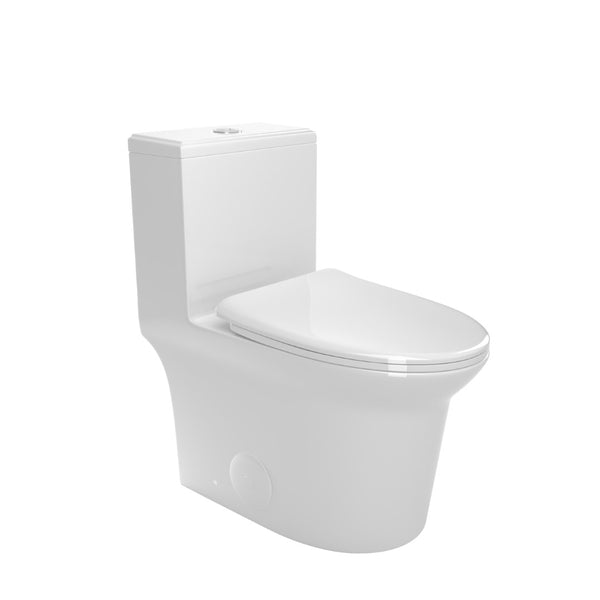 English Elm 1.1/1.6 Gpf Ceramic One Piece Toilet Skirted Comfort Height Dual Flush Soft Close B2724P246931