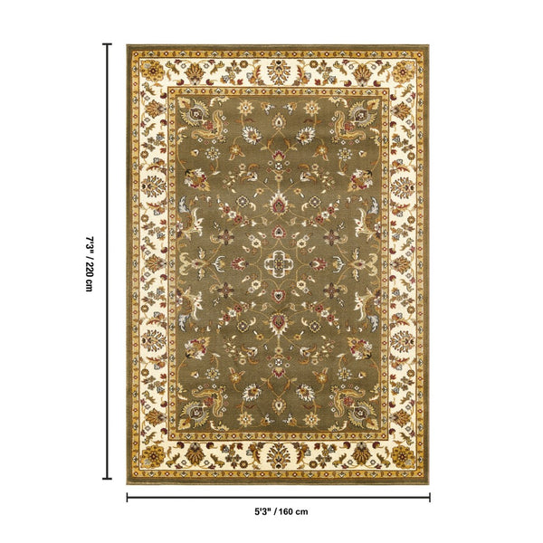 English Elm Classic Traditional All-over Patterned Low Pile Area Rug for Living Room or Dining B186P452265