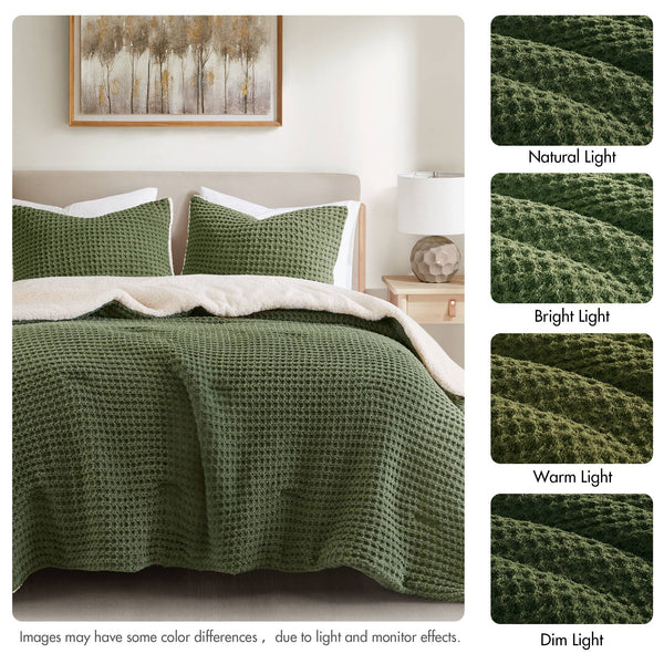 JLA Home Madison Park - Cable Chenille Comforter Set with Sherpa Reverse, Oeko-Tex Plush Cable-Knit Texture for Cozy Nights Olive MP10-8888