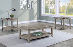 English Elm Rustic 3-Piece Gray Brown Cocktail Table Set with Shelf Rectangular Coffee + 2 Square End Tables, Retro Charm for Living Room B011P244325