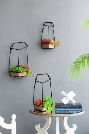 English Elm Set Felix Wall Planter Trio – Geometric Fir Wood & Iron Frames for Succulents, Modern Wall Focal Point Decor Black,Brown W2078P322836