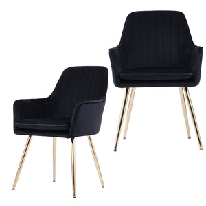 English Elm Velvet Mid-Back Dining Chairs Set of 2 — Luxurious Black Velvet Upholstered Seats with Gold Legs and Removable Cushions W3394P329170
