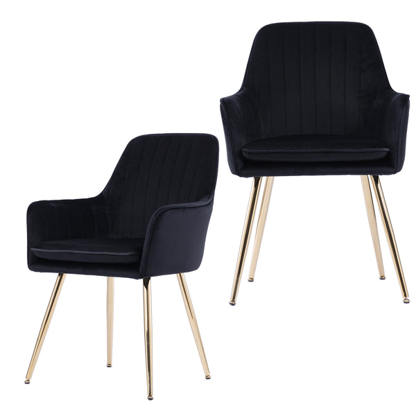 English Elm Velvet Mid-Back Dining Chairs Set of 2 — Luxurious Black Velvet Upholstered Seats with Gold Legs and Removable Cushions W3394P329170
