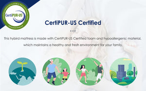 English Elm Queen Size Mattress - 10 Inch Medium Firm Hybrid With Pocketed Coils For Ultimate Comfort & Support W2889P310464-GIGA