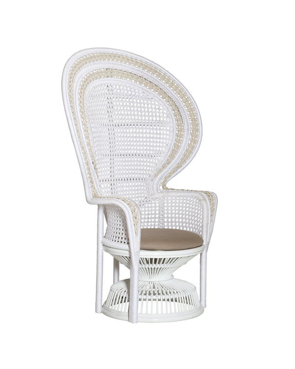 Currey & Company Emanuelle Peacock Fan Back Accent Chair Rattan Frame with Woven Rope Boho Appeal 7000-1072