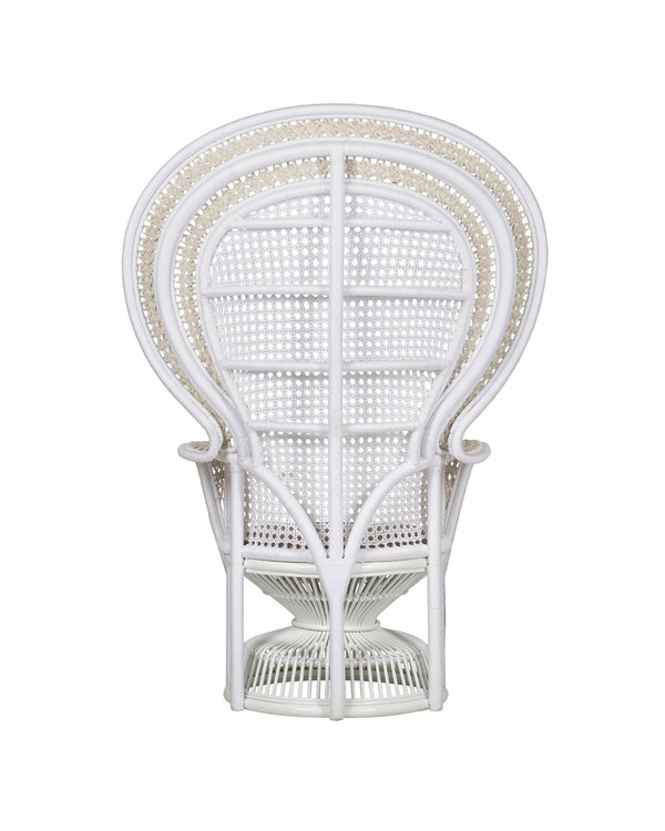Currey & Company Emanuelle Peacock Fan Back Accent Chair Rattan Frame with Woven Rope Boho Appeal 7000-1072