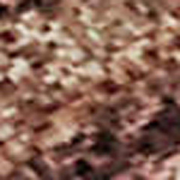 HomeRoots 8' X 10' Terra Cotta & Rust Oriental Area Rug - Washable, UV Protected, Stain Resistant Beauty! 700581