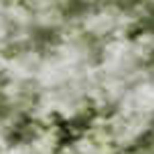 HomeRoots 5' X 8' Elegant Sage and Ivory Oriental Area Rug - Durable, Washable, UV Protected for Busy Homes 700609