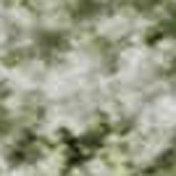 HomeRoots 5' X 8' Elegant Sage and Ivory Oriental Area Rug - Durable, Washable, UV Protected for Busy Homes 700609