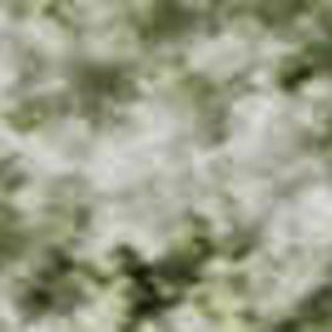 HomeRoots 9' X 12' Sage and Ivory Oriental Area Rug - Durable, Stain-Resistant, UV-Protected, Non-Slip Design 700612