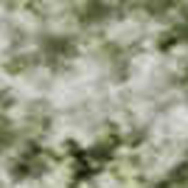 HomeRoots 9' X 12' Sage and Ivory Oriental Area Rug - Durable, Stain-Resistant, UV-Protected, Non-Slip Design 700612