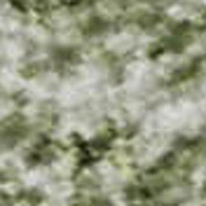 HomeRoots 9' X 12' Sage and Ivory Oriental Area Rug - Durable, Stain-Resistant, UV-Protected, Non-Slip Design 700612