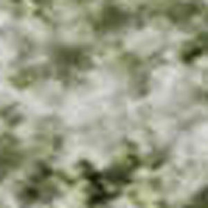 HomeRoots 10' X 14' Sage and Ivory Oriental Area Rug - Washable, UV Protected, Stain Resistant for Busy Homes 700613