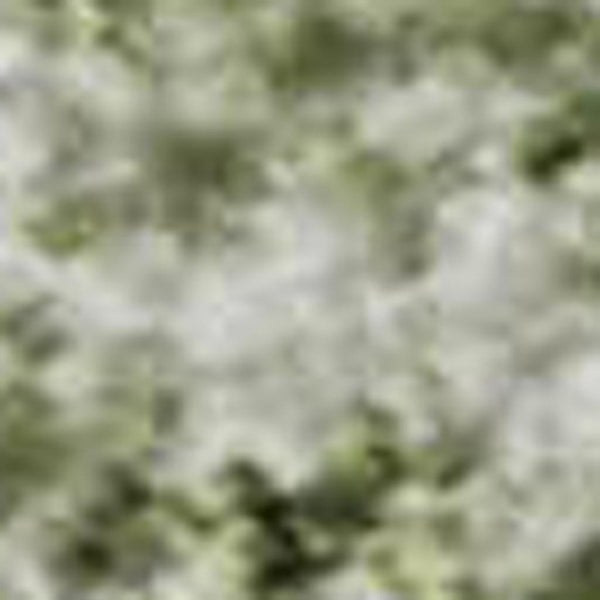 HomeRoots 10' X 14' Sage and Ivory Oriental Area Rug - Washable, UV Protected, Stain Resistant for Busy Homes 700613