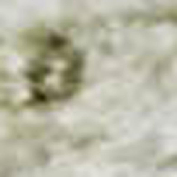 HomeRoots 8' X 10' Beige and Green Washable Oriental Area Rug – Durable, Stain-Resistant with UV Protection! 700641
