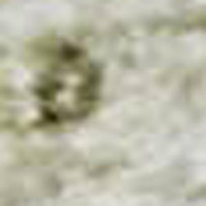 HomeRoots 9' X 12' Beige & Green Oriental Washable Area Rug – Durable, Stylish, UV-Protected for Busy Homes 700642