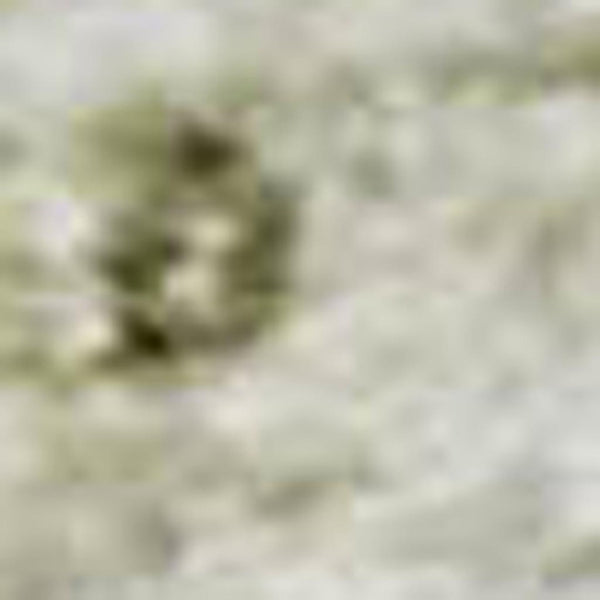 HomeRoots 9' X 12' Beige & Green Oriental Washable Area Rug – Durable, Stylish, UV-Protected for Busy Homes 700642