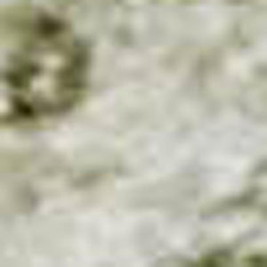 HomeRoots 10' X 14' Beige and Green Oriental Area Rug - Stain Resistant, UV Protected, Non-Slip for Durability 700643